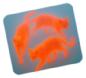 双猫